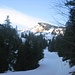 Blick von der Skipiste Gartenalp auf die Schneise vorne und den Föhrenrücken Chalberer, den man rechts der Skihütte ersteigt