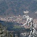 Blick auf die Stadt Waldkirch