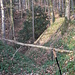 Vorfrühling im Chräzerentobel.