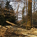 Die wärmenden Strahlen der Wintersonne.