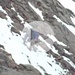 Einer der nördlichsten 3000er der Stubaier Alpen. Aufstieg abseits des Normalwegs, um nicht auf den Gamskogelferner zu geraten. Es lag noch viel Restschnee. Sequenz auf etwa 2850m.
Auf jedenfall T4-Gelände
