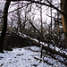 Salita al M.Uccellera...nulla da guadagnare! [While climbing to M.Uccellera...nothing to gain]