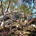 Typisch für den Aufstieg: Waldpfade mit Fels- & Wurzelkletterei