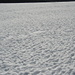 die Schneemaus war schneller wieder in ihrer Schneehöhle als ich mit der Kamera<br />[u Pfaelzer] hatte neulich mehr Glück [http://www.hikr.org/gallery/photo430233.html?post_id=31755#1]