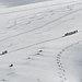 Ein Dutzend Schneeschuhgänger auf dem Weg zum Fulhorn