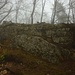 Nur noch weinge Mauerreste sind von der Ruine Frohberg / Tschöpperli (485m) noch erhalten.