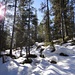 und unvermittelt befinden wir uns wieder mitten im Winter ...