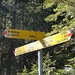 bei diesem Wegweiser (wenige Meter unterhalb P. 1527) würden wir ein nächstes Mal den kurzen steilen Absteig zum Bänderweg zur Bire nehmen, und anschliessend weiter und hoch zum P. 1527 gehen