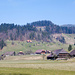 Höfe bei Dieboldswil
