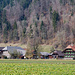 Höfe im Ried