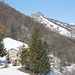 Crosnello