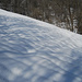Righe di neve