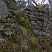 Die am besten erhaltene Mauer der Ruine Fürstenstein. Hier muss man sogar ein wenig klettern um auf die Burg zu gelangen.