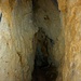 Im hinteren Teil der zirka 30m tiefen Fürstensteinhöhle. Es hat am Höhlenende einen sicher 10m hoher Raum.
