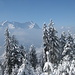 Alp- und Zugspitze