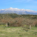 Blick auf das Taygetos Gebirge