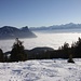 Alpstutz mit Blick auf das Nebelmeer