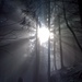 Die Sonnenstrahlen durchbrechen den Nebel