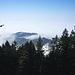Das Rheintal-Bodensee-Nebelmeer entlässt den Kapf gerade ins Sonnenlicht