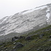 regennasse gletschergeschliffene Felsen