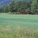 Haferfeld