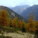 Herbststimmung auf der Alpe di Groppo