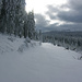 Und hier die Winterbilder vom 19.12.2010