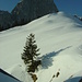 bei Vorderälplital