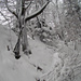 Winterbegehung der Hörnli-"Westwand" am 18.1.04 bei 20cm Neuschnee - Traverse im oberen Teil der Route