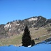 Blick aus dem winterlichen Schwandrain zur Wellenberg-Südflanke, welche bereits den Frühling kennt