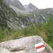Von der weitläufigen Alp da Punteglias (1631 m) kann man hoch droben die Hütte bereits liegen sehen.