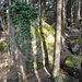 lauschiges Wandern ab P. 818