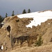 eine der imposanten, interessanten Abrissstellen des Bergsturzes