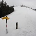 ... zum Bergrestaurant und Gipfel Wildspitz