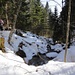 winterlicher Abschnitt ...