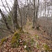 typisches Jura-Gratweglein