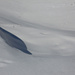 un delfino si tuffa nella neve