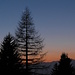 Abend über dem Rhonetal