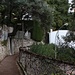Im unteren Teil des malerischen Chemin des Salines. Vorbei an Olivenbäumen nähern wir uns dem höchsten Punkt von Monaco.