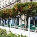 Pomeranzenbäume (Citrus aurantium) an der Promenade des Anglais in Nice.