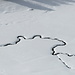 Strich-Zeichnung im Schnee
