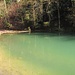 idyllischer See mit Enten