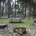 kleine "Ausgaben" von Findlingen zieren den grosszügigen Picknickplatz im Steinhofwald
