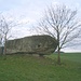 Der Honigstein, ein Erratischer Block oberhalb Roggliswil.