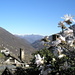 Dai tetti di Falmenta emerge una magnolia e più lontano il Lema