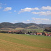 Sackwald im Leinebergland