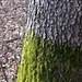 Ambiance de printemps