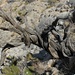 Verwundene Stammformen begleiten uns auf der Wanderung