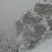 Frühlingsbeginn: 21.März 2011, Aktuelle Situation: 25cm Neuschnee, starker Wind, Nebel liegt im Grand Canyon & in der Villige 