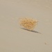 Dritter Erfahrungsstopp im Death Valley: Mesquite Flat Sand Dunes